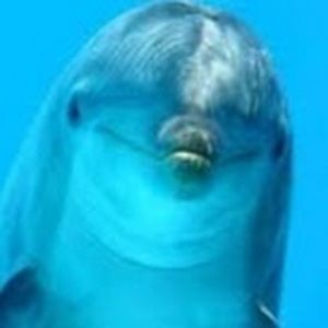 Meet your Posher, Eloise